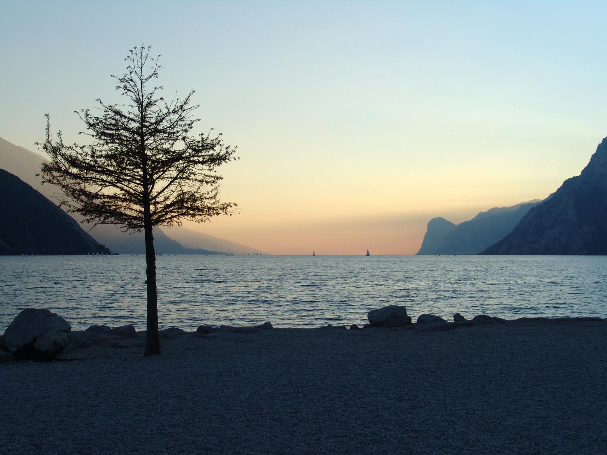 Hotel Garni Villa Magnolia Torbole Sul Garda Eksteriør bilde